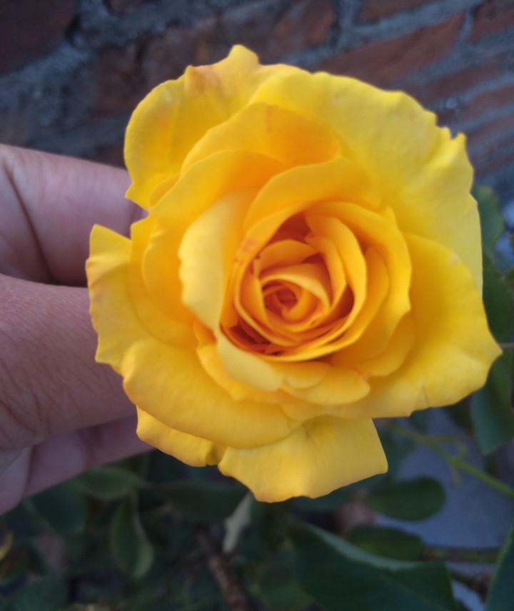 #nature_ love