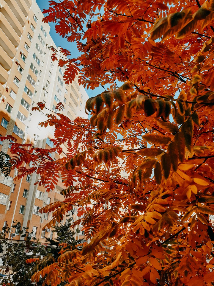 Осень, Autumn