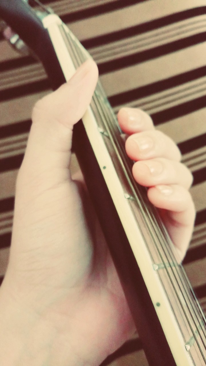 guitarists