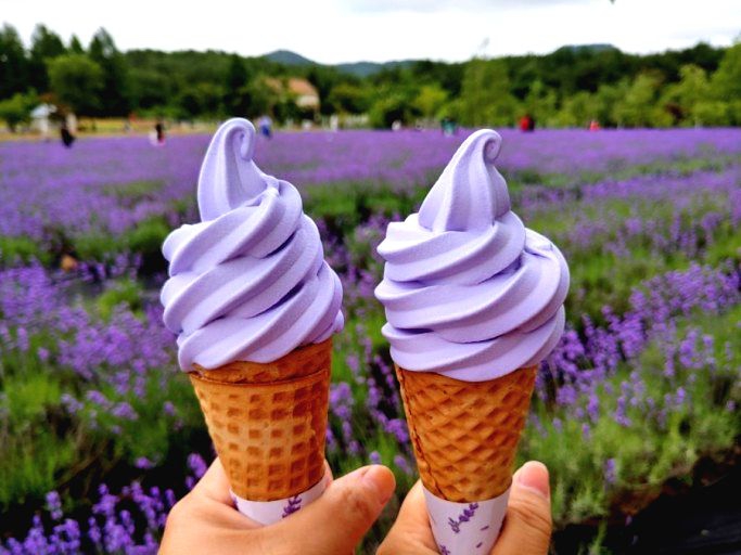 Lavender Ice Cream