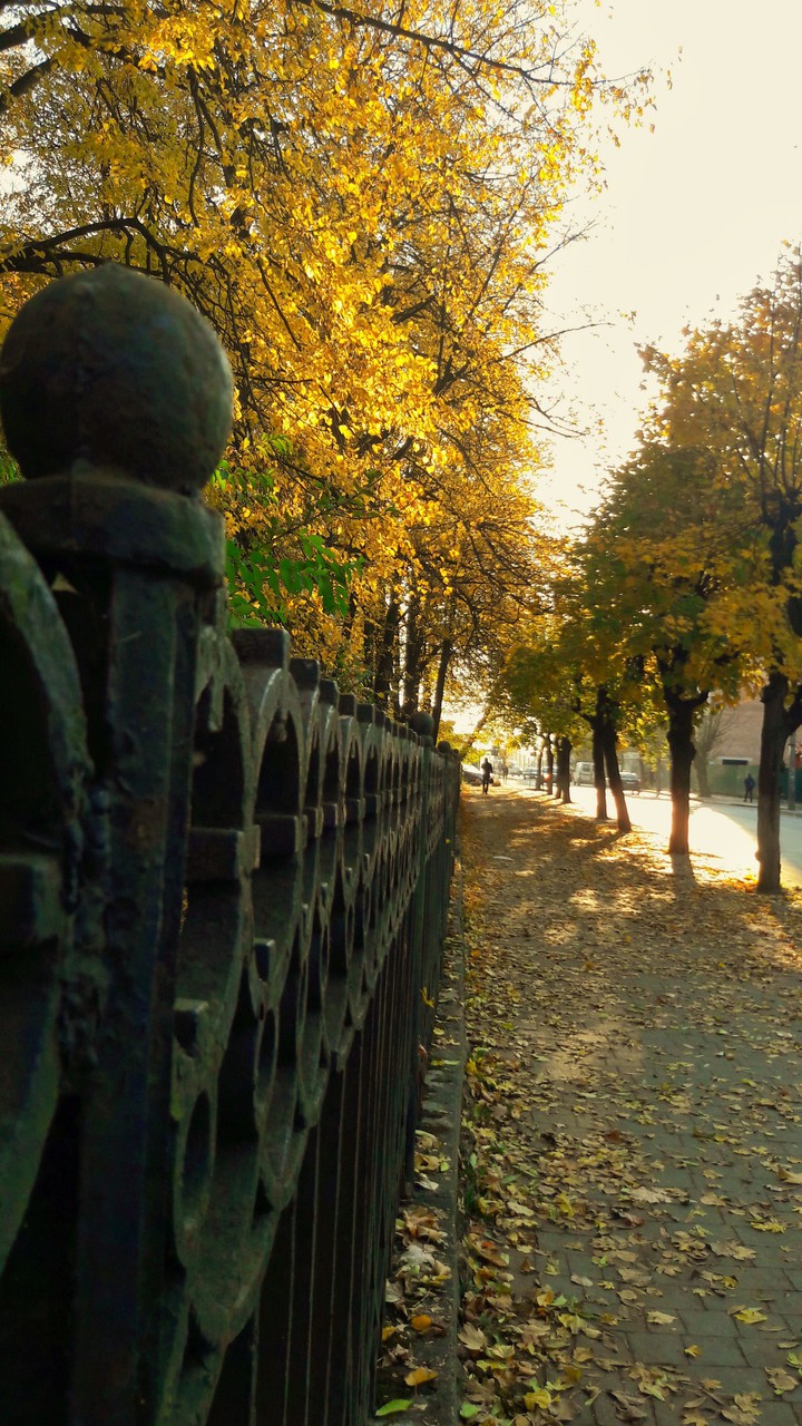 autumn ?