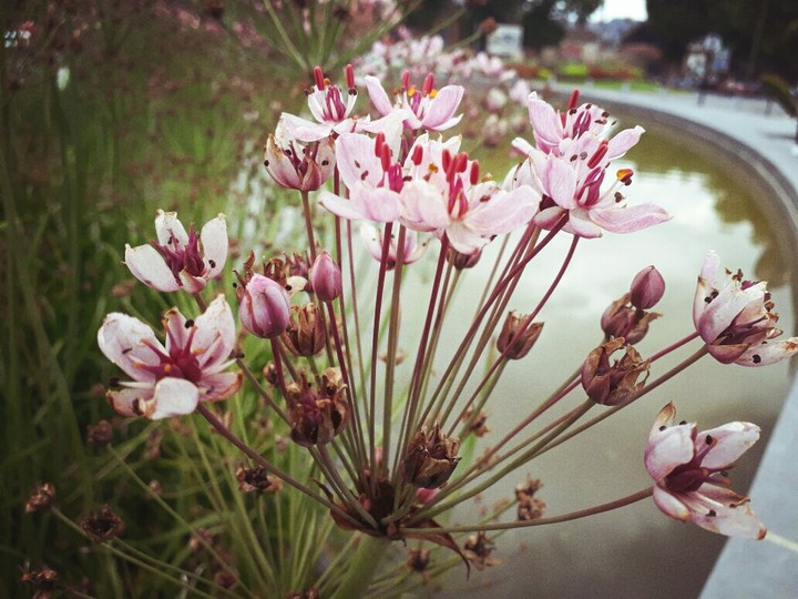 photo by me