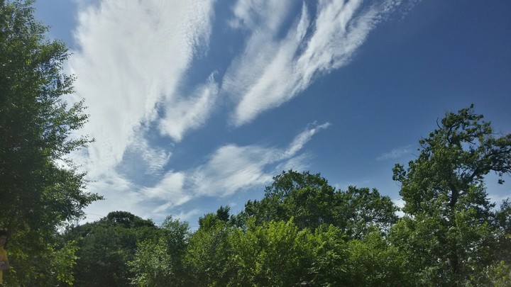 Sky