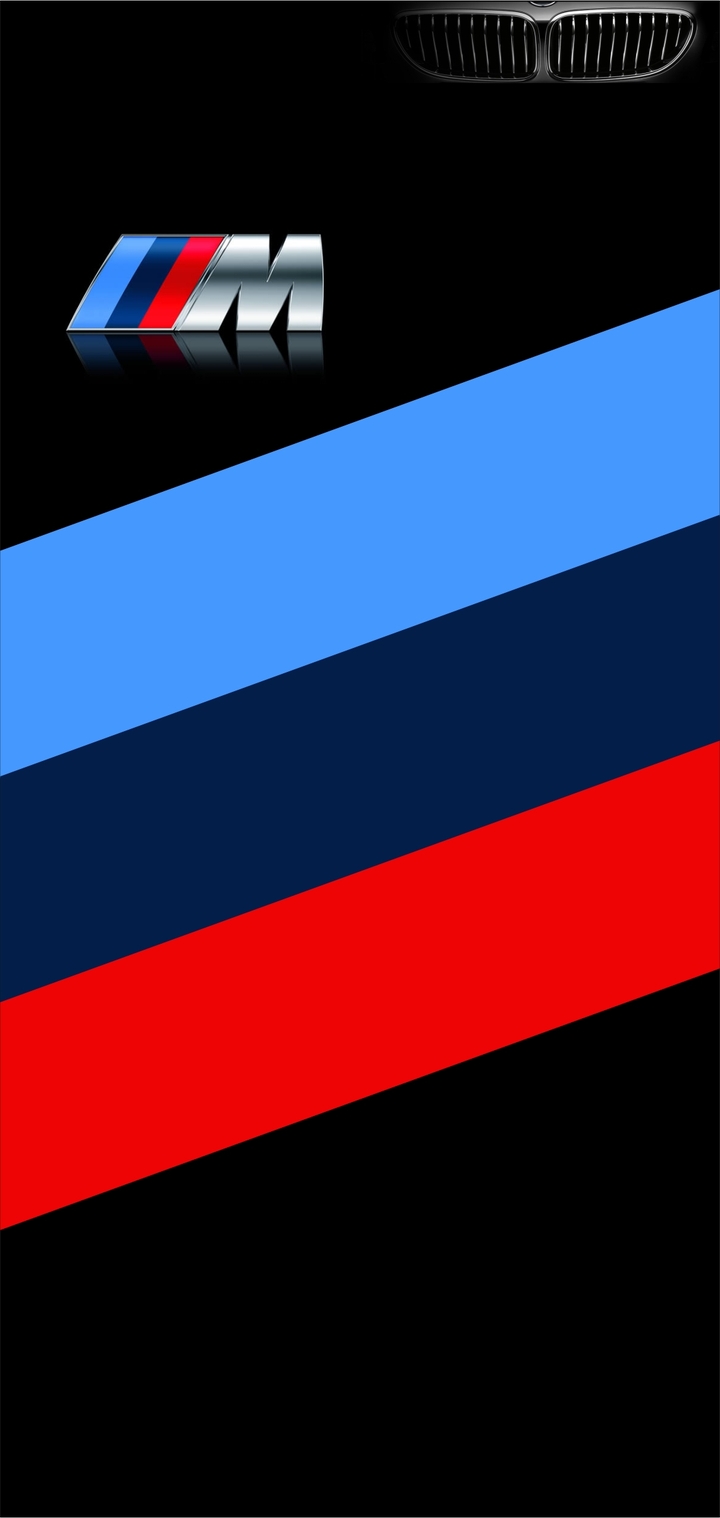 BMW M LOGO