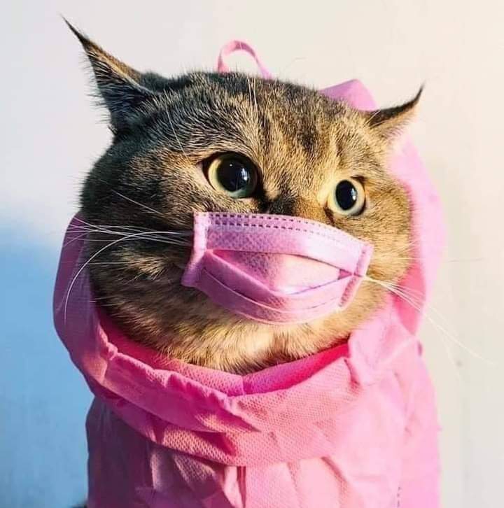 So Cute