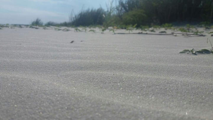 sandy