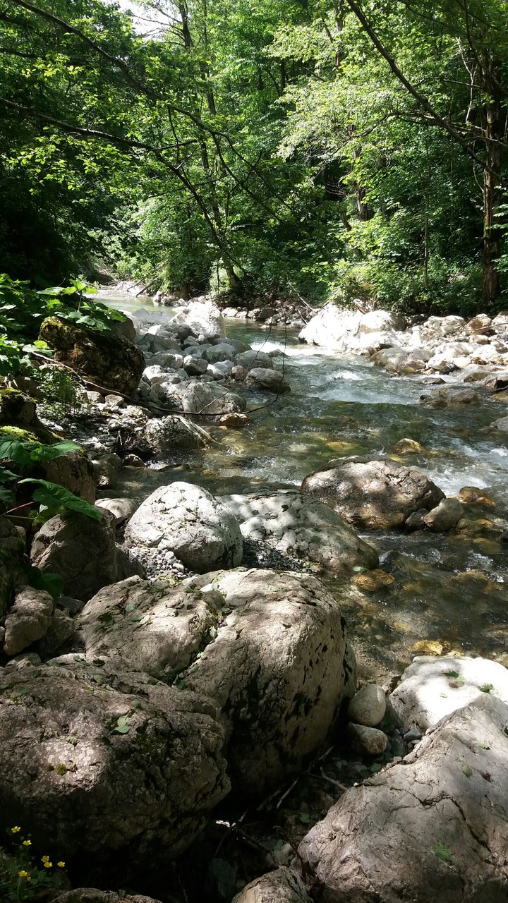 River