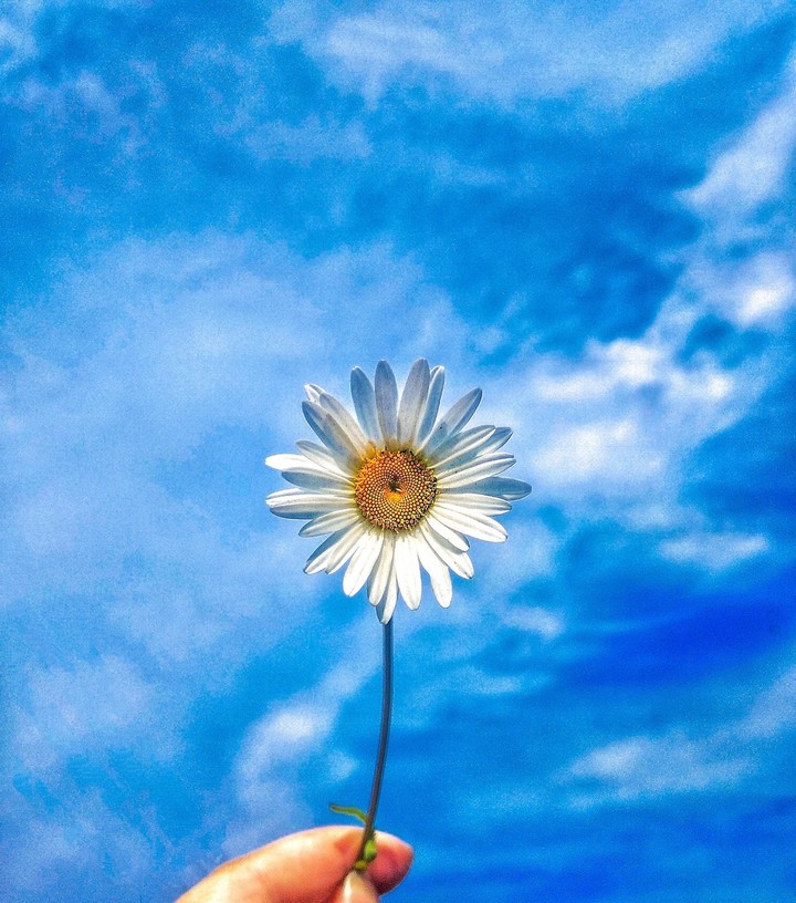 So pretty