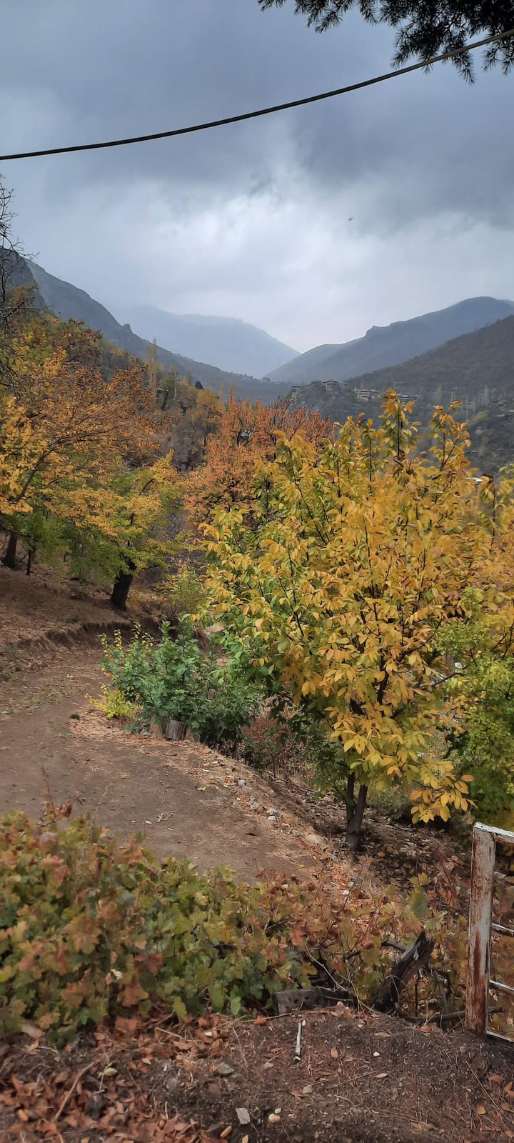 Egin Turkiye