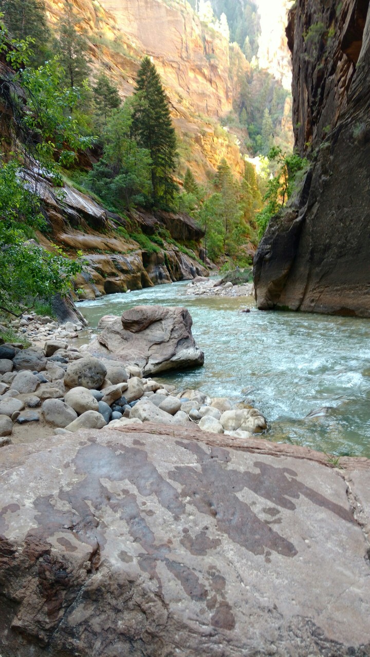 the narrows