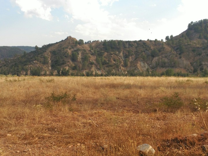 campo en agosto