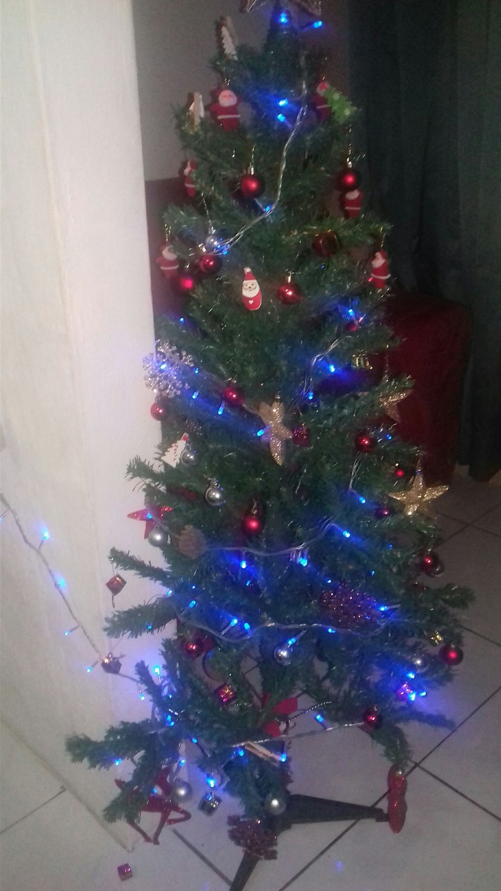 Natal