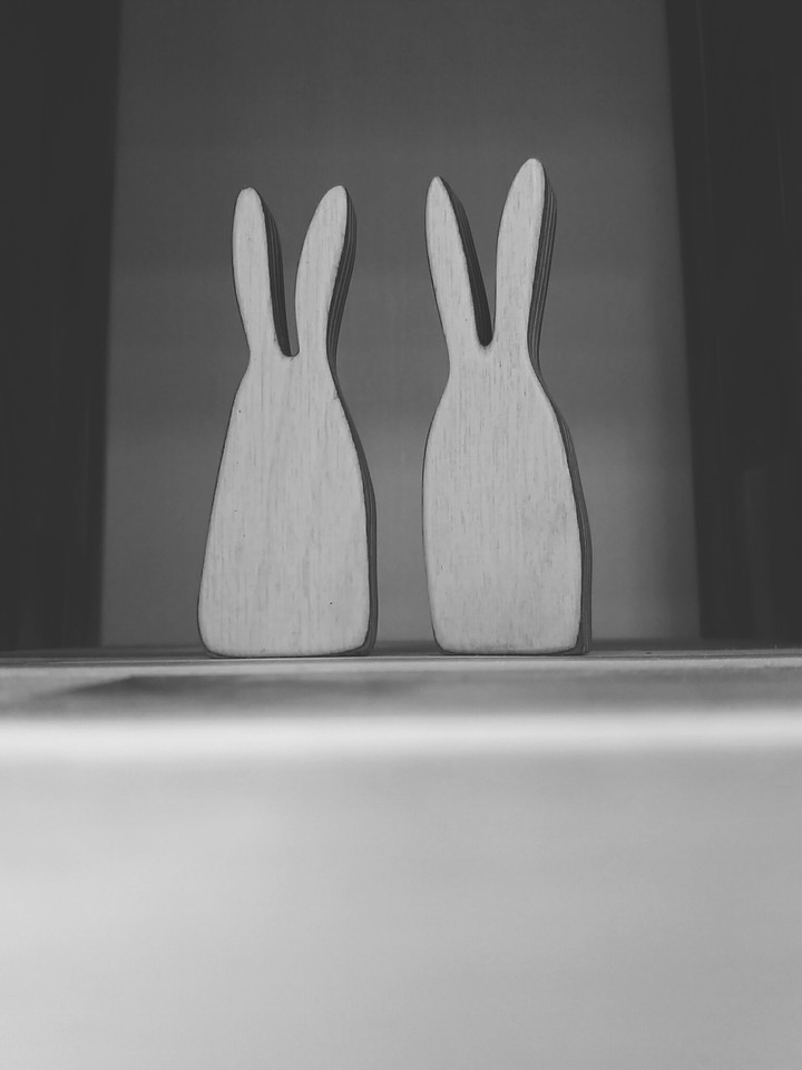 토끼 커플