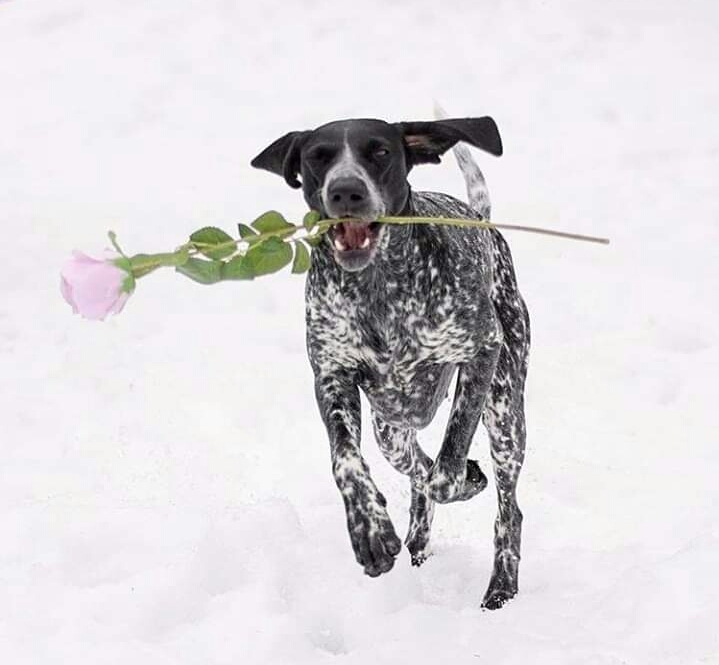❤