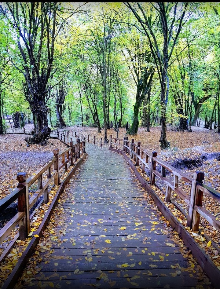 alangdareh_park