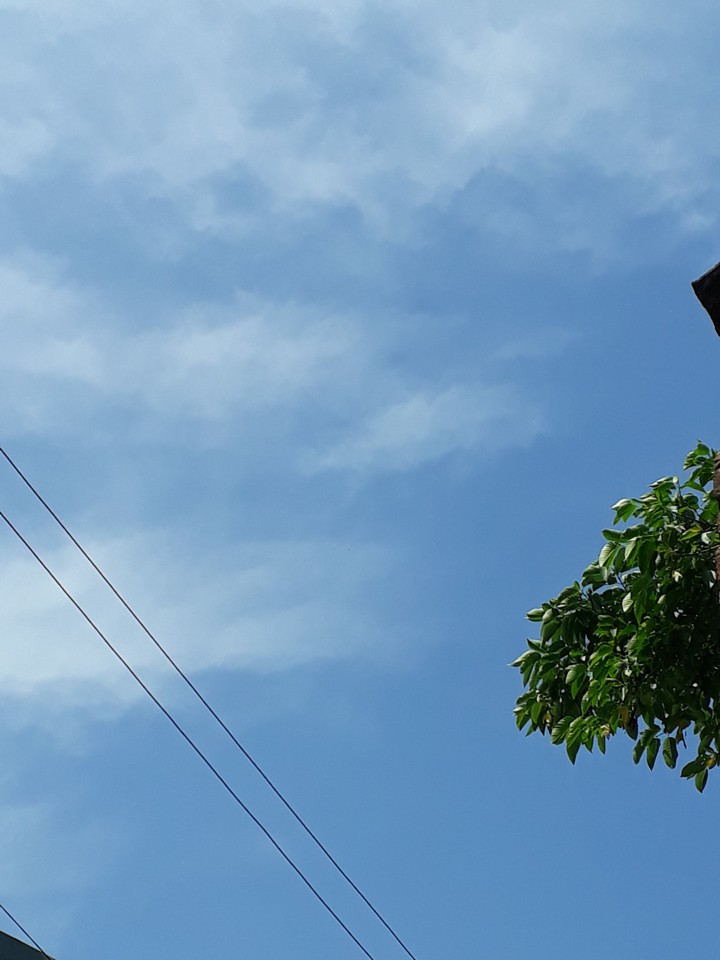 The Skyblue Sky