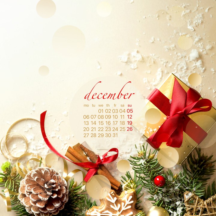 Calendar 2021 December