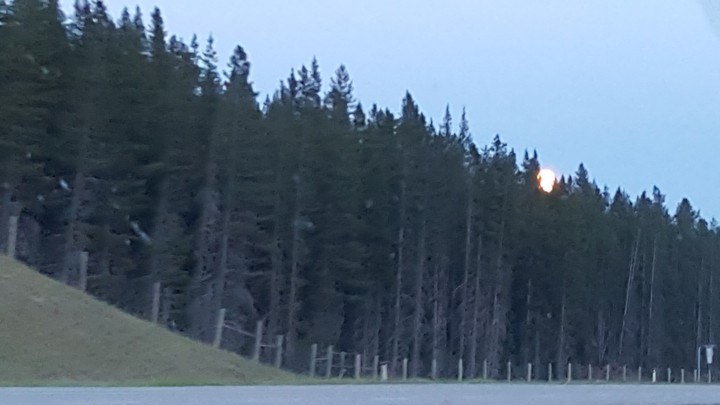 peeking moon