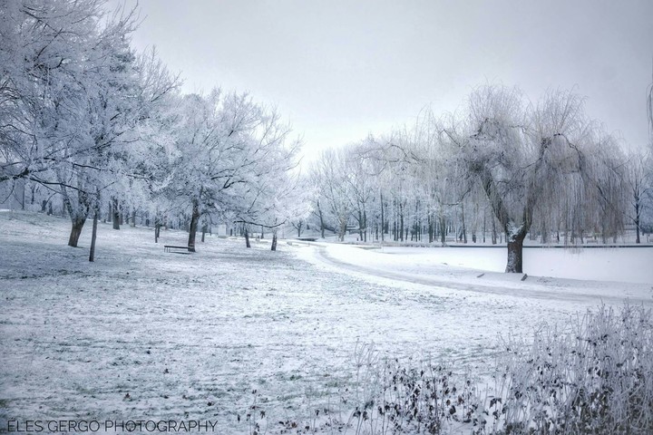 Winter