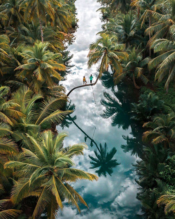 Nature