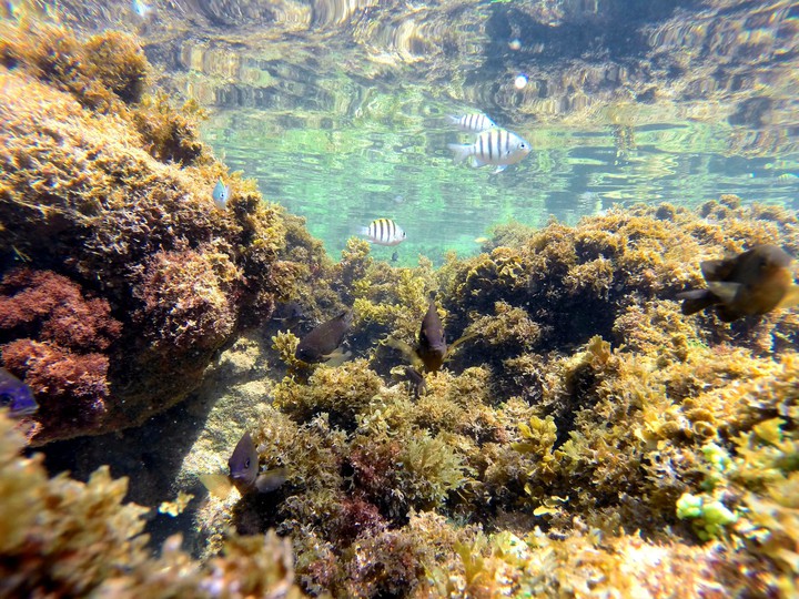 Aquário dentro do mar
