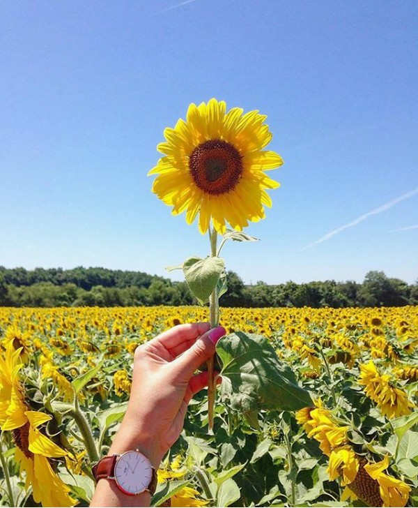 Nature