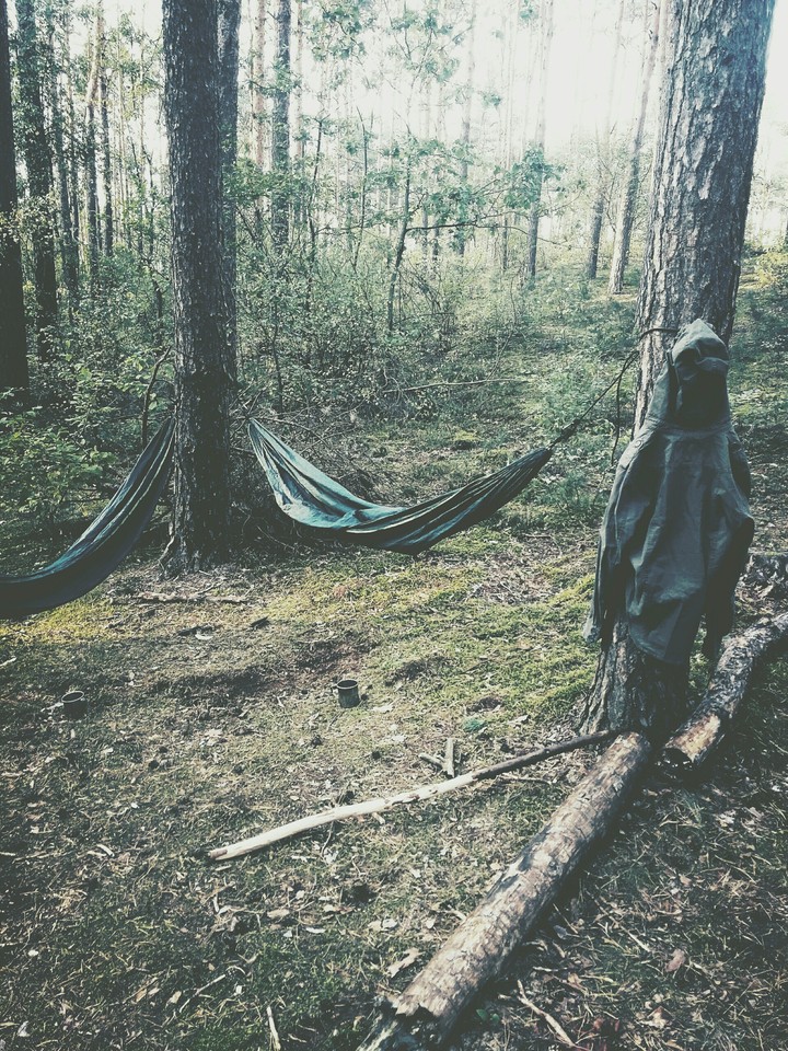 collapse