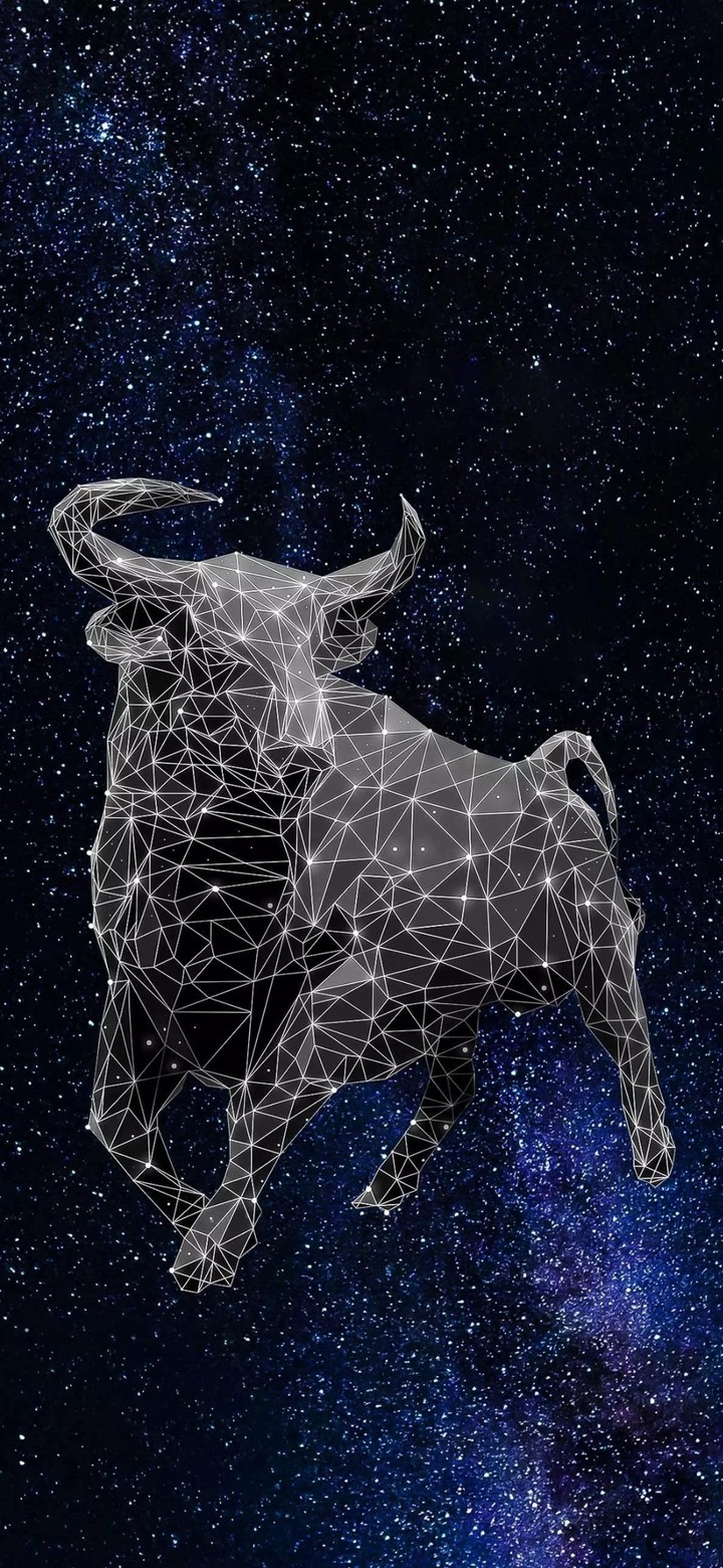 stars