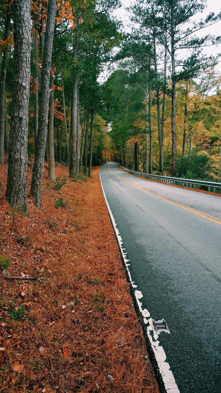 Airport Rd in November