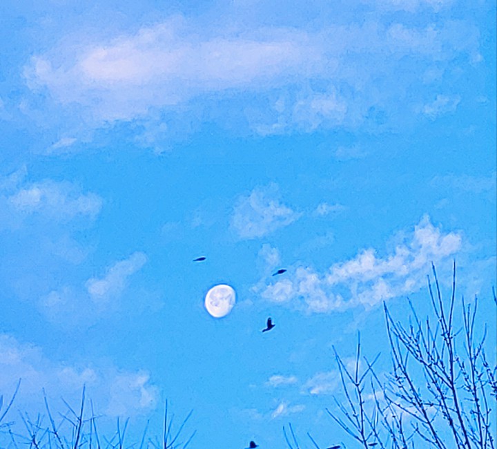 seven a.m. Tuesday's Moon