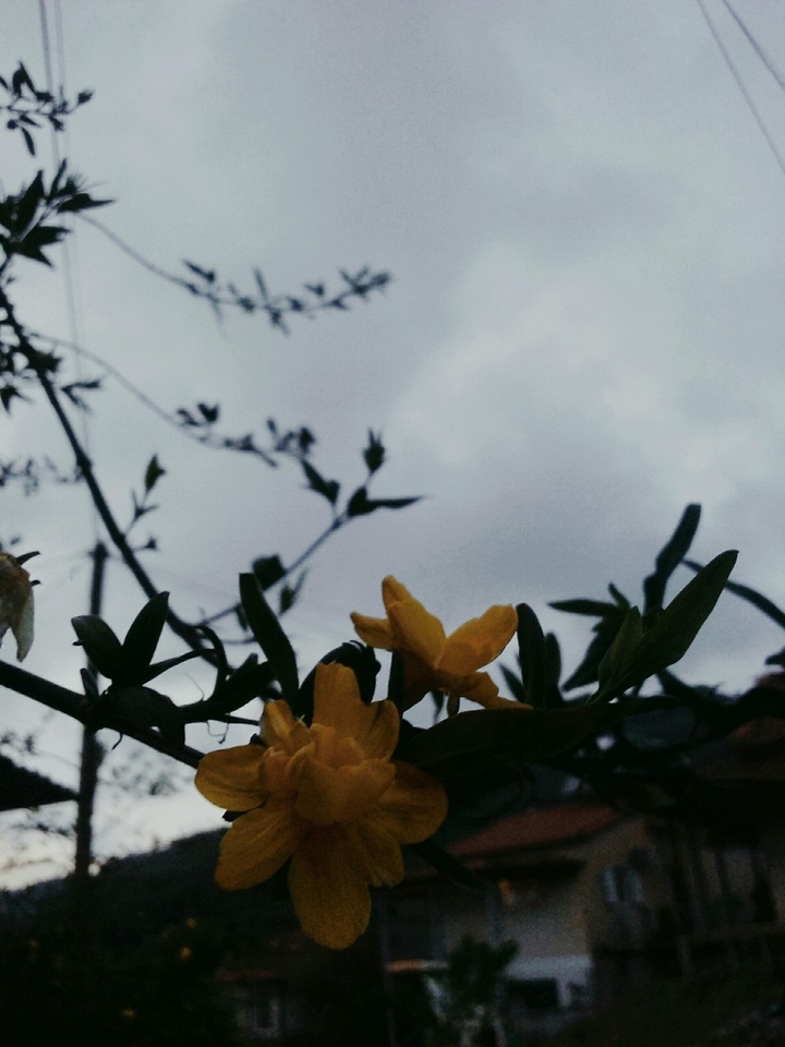 ❣