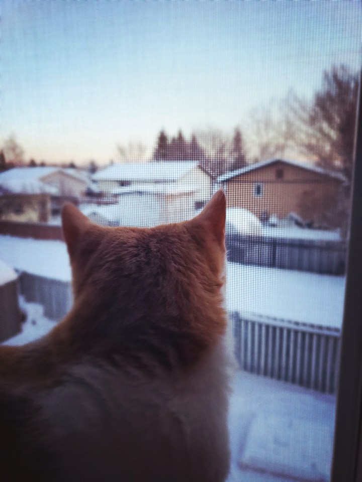 a winter afternoon