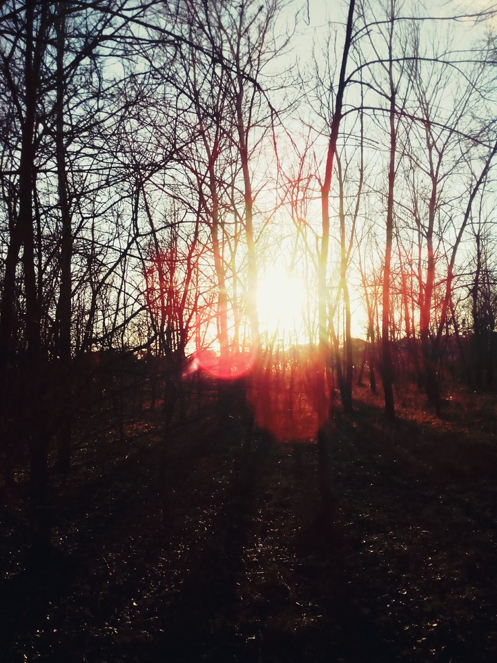Relax evening for everyone)