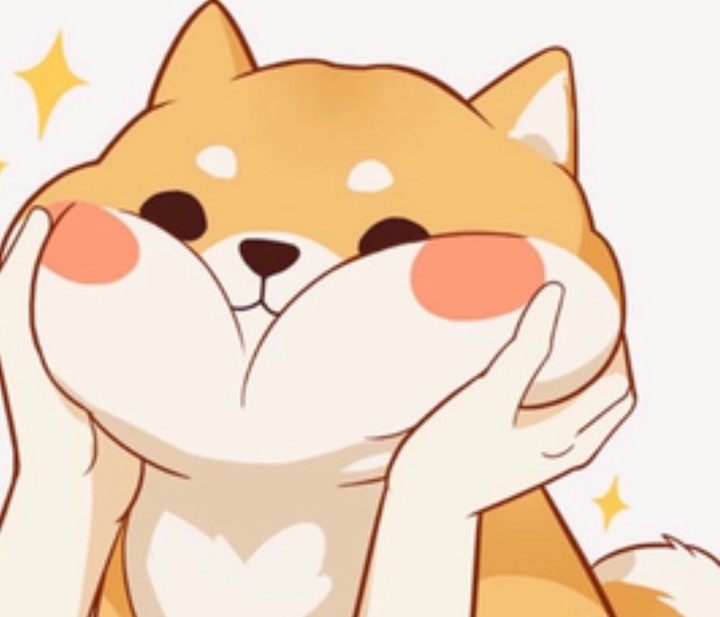 smashing Corgi