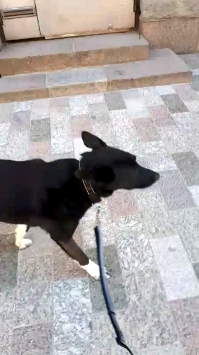 ok