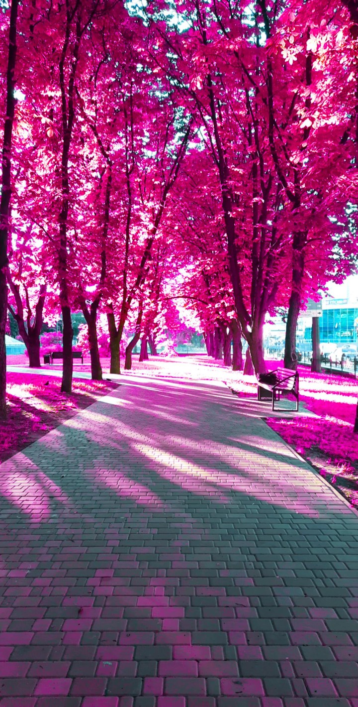 Nature