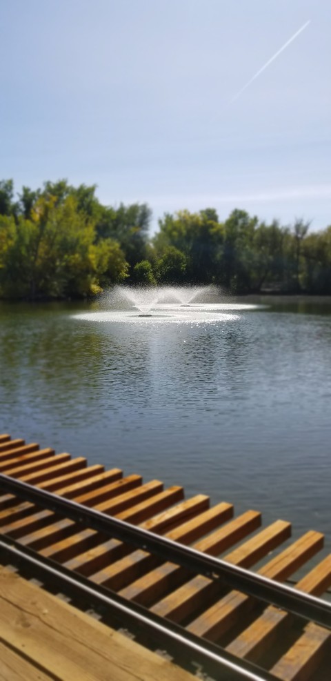 Lagoon