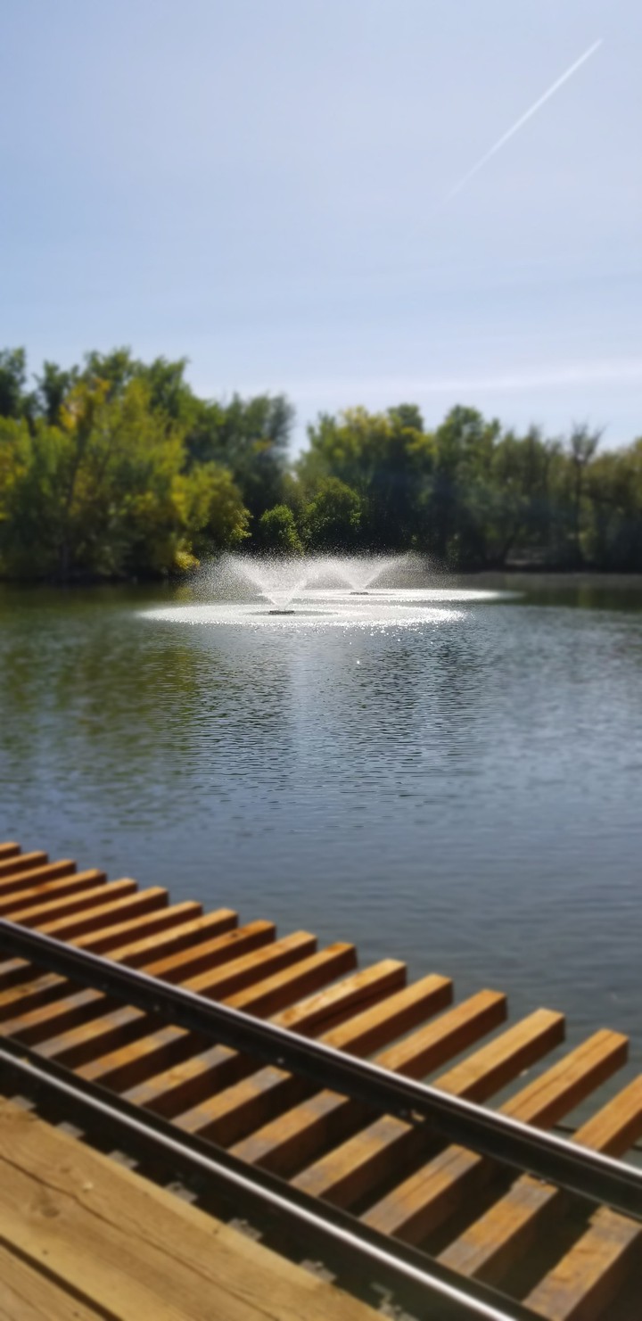 Lagoon