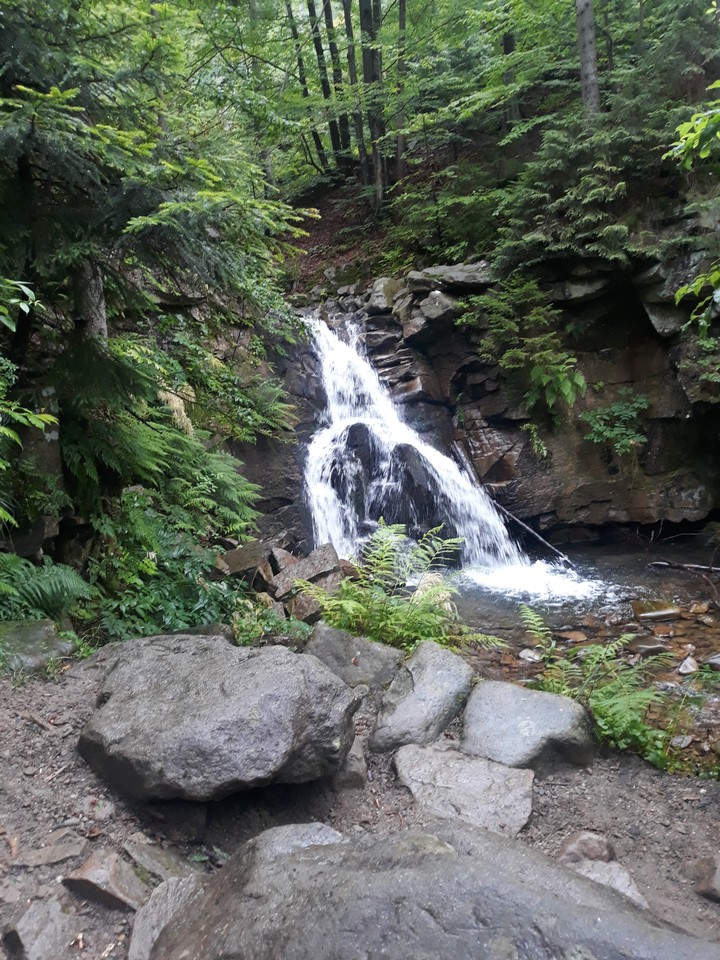 Nature ❤