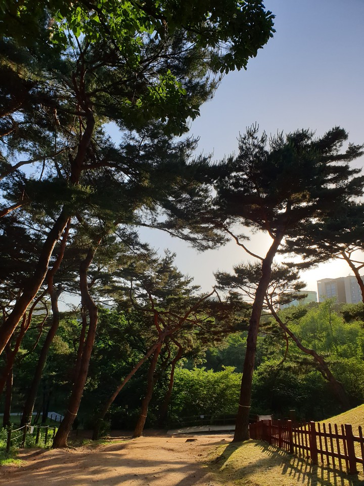 선릉Seonneung Park