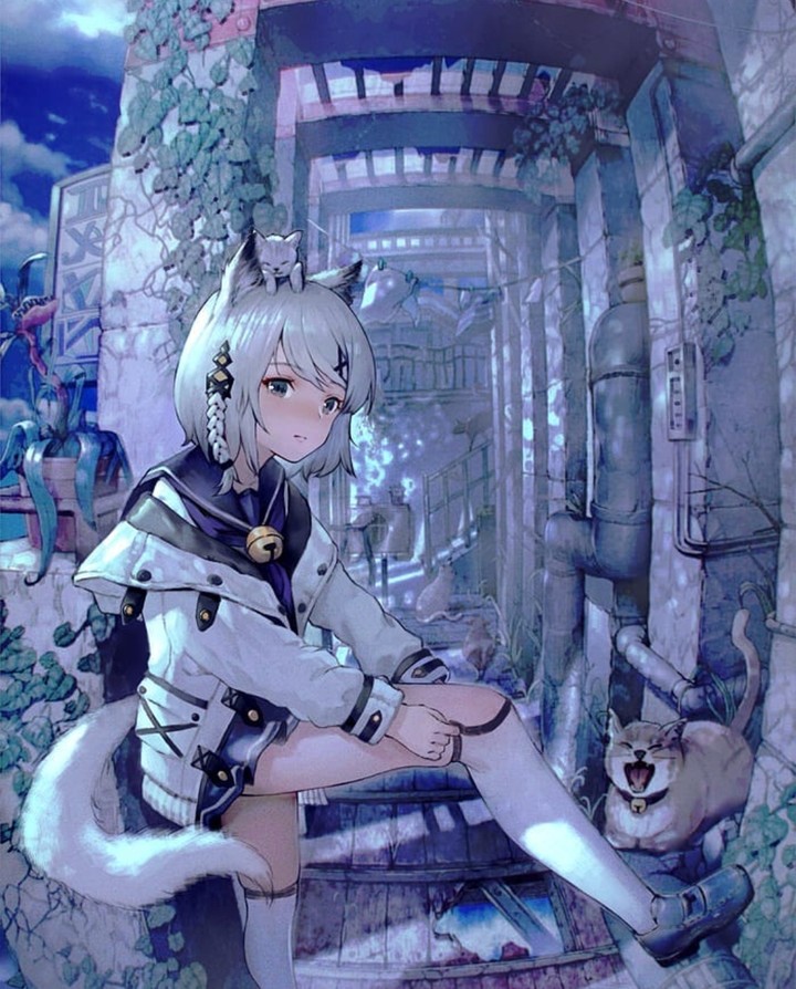 Anime ~