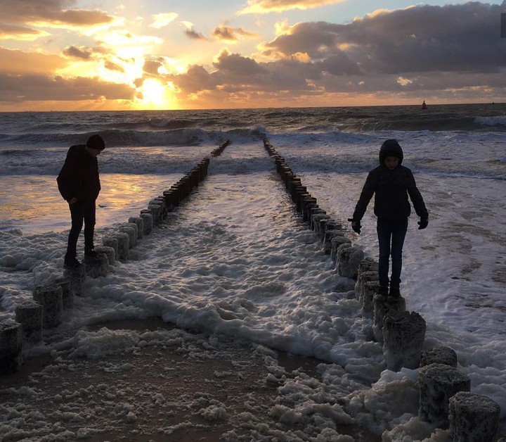 the dutch sea