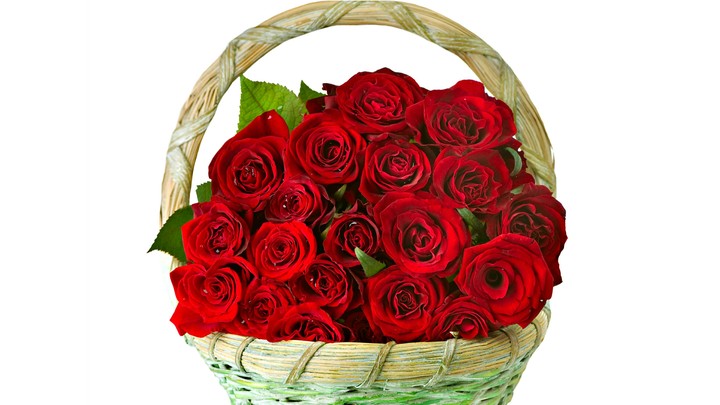 Roses