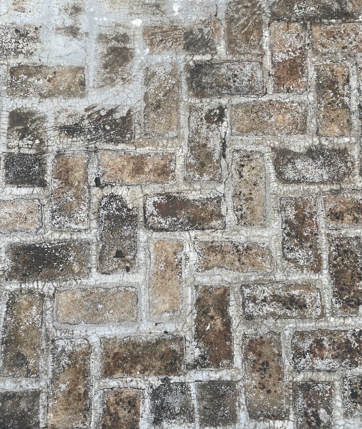 bricks