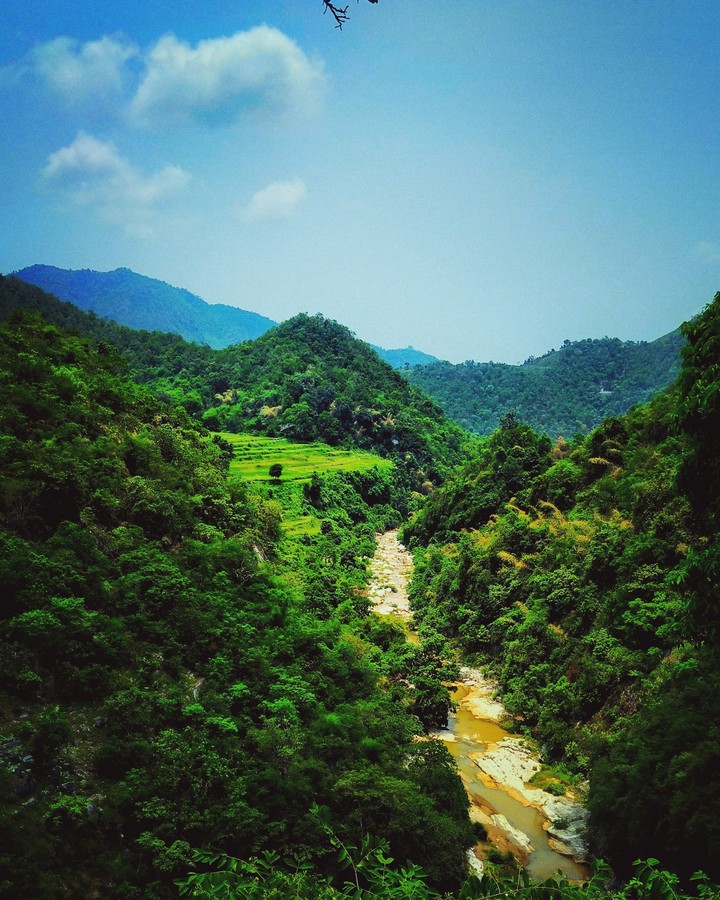 Nature