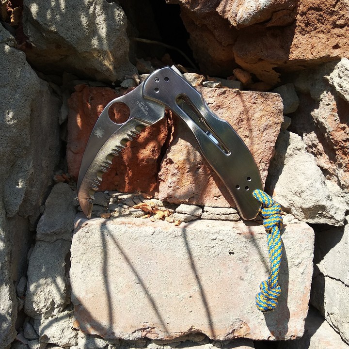 Spyderco Harpy