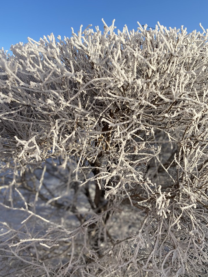 Замерзшая красота