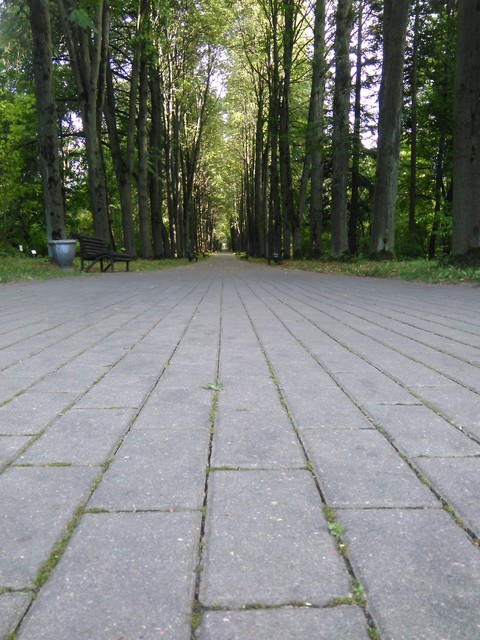 alley