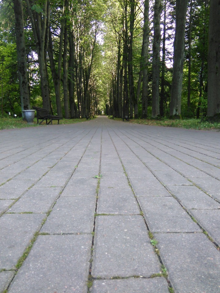 alley