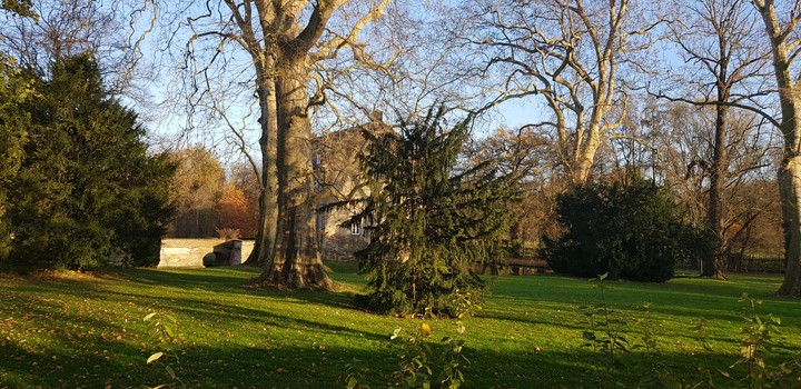 treeeeeee